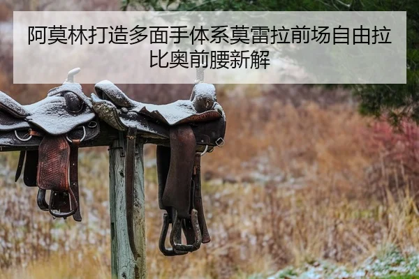 阿莫林打造多面手体系莫雷拉前场自由拉比奥前腰新解